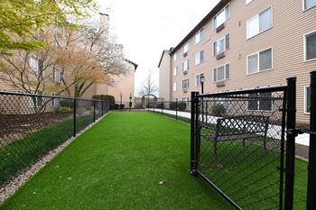 dog park 1 axcess 15 apartments portland oregon